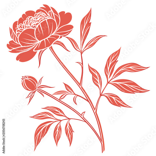 coral peony silhouette on white background