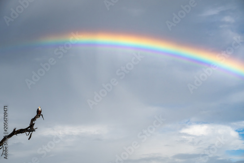 Rainbow in the sky on a rainy day on Chobe River, Botswana