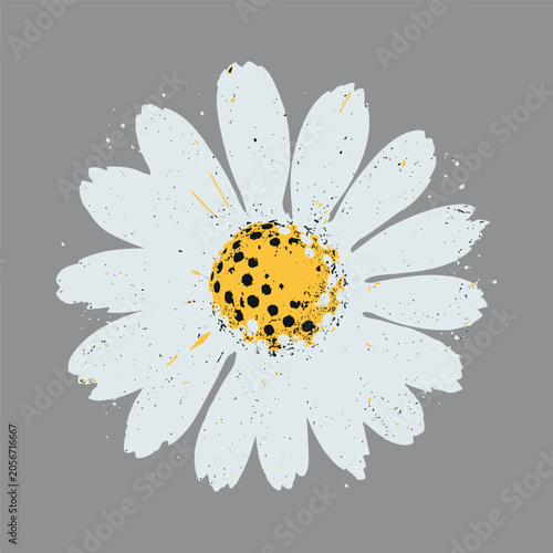 Vintage Daisy Graphic T-Shirt, Distressed Floral Wildflower Tee, Cottagecore Women's Top, Boho Botanical Shirt, Retro Garden Aesthetic Gift