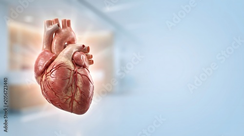 Human Heart Medical Illustration in Modern Healthcare Setting
