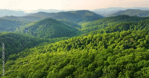 Morning landscape of summer forest on Appalachian mountain hills in North Carolina. Summertime landscape of beautiful nature