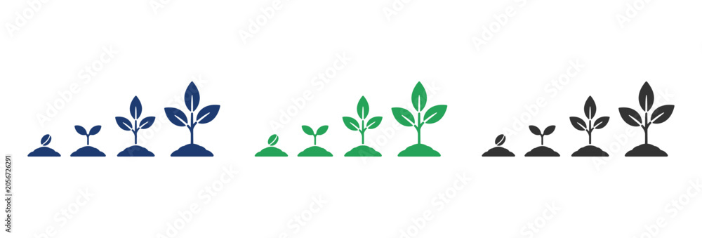 Fototapeta premium Vector icons showing the stages of plant growth from sprout to m