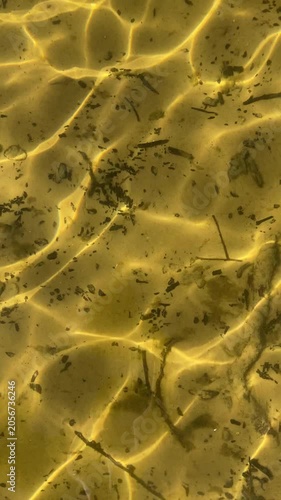 Clear Water Rippling Over Pebbles (Golden Caustics)