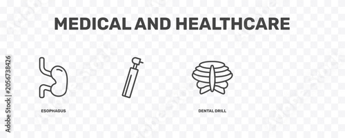 Quadro su tela medical and healthcare icon set with esophagus, , dental drill, sternum signs in