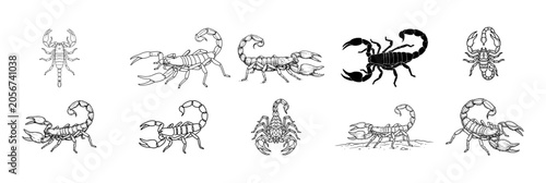 Schilderij op canvas Scorpion Line Art Icon Set Animal Vector Pack on PNG Background, scorpion, scorp