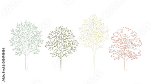 Set of Four Minimalist Linear Tree Illustrations for Modern CAD Architectural Design Projects