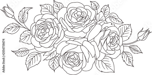 Fotografie Black and white rose bouquet, floral vector illustration, line art flowers, bota