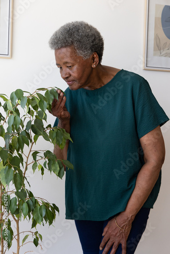 Senior African woman leaning forward, smelling leafy potted plant at home wearing dark green top