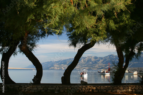 Φωτογραφία silhuette of trees on the sea Adria