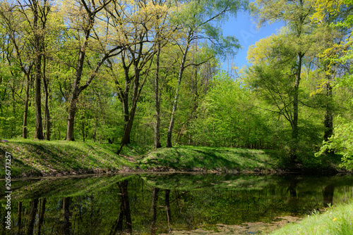 spring in the park