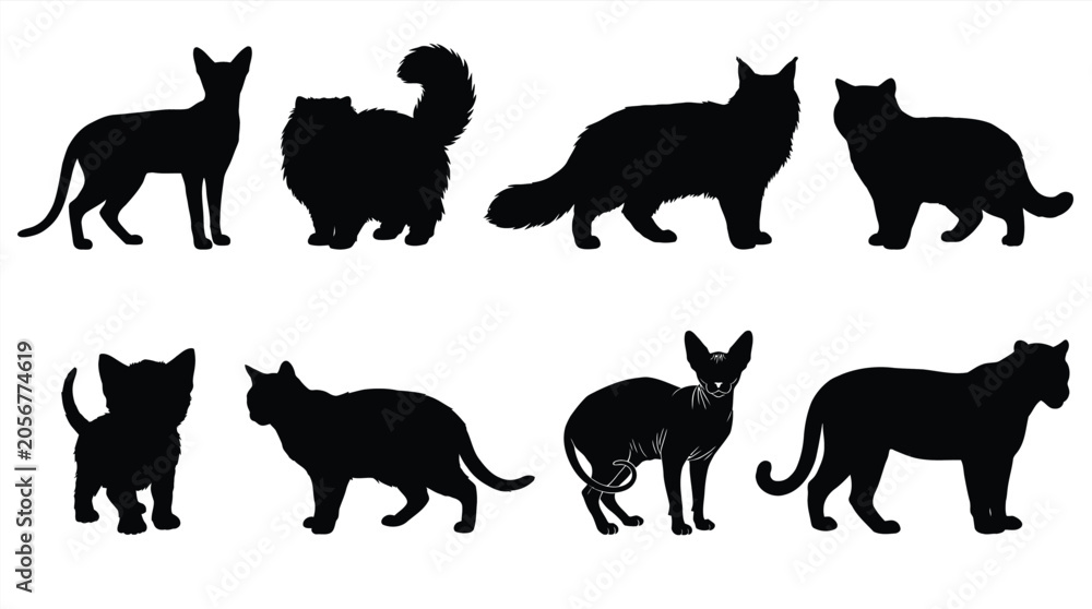 Obraz premium Black silhouettes of various cats and a dog Vector