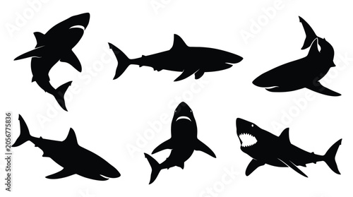 Black shark silhouettes on white background Vector