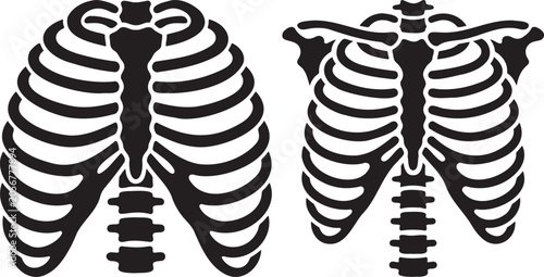 Bild auf Leinwand Human rib cages, skeleton anatomy, medical illustration.