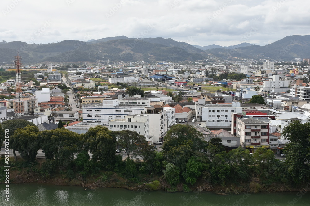 Fototapeta premium tubarao - sc