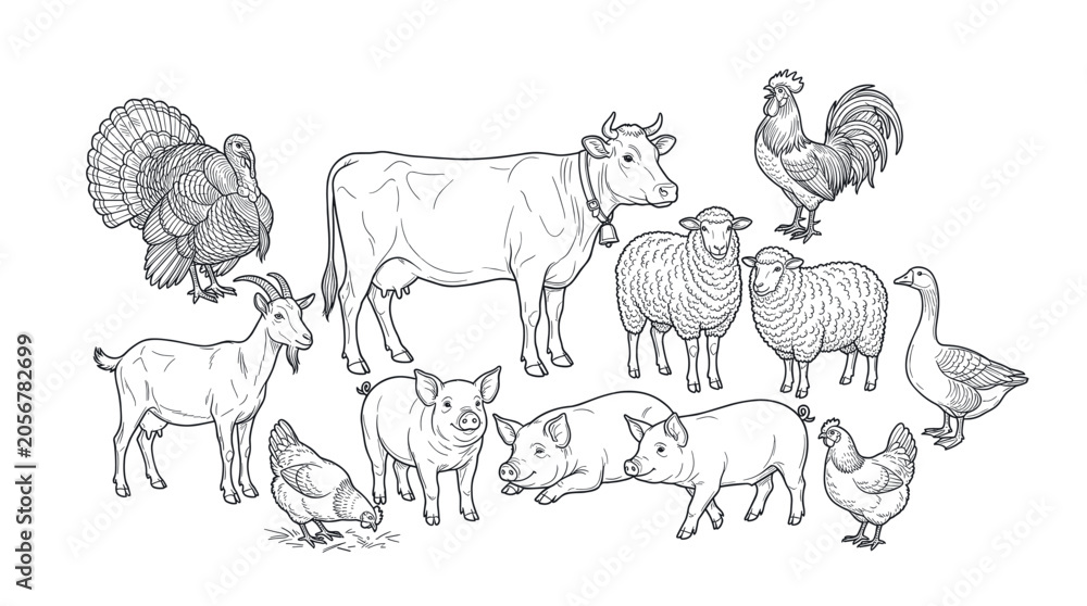 Obraz premium Various farm animals, including a cow, pig, sheep, turkey, goat, chicken, rooster, and goose, are depicted in a detailed line art illustration on a clean white background