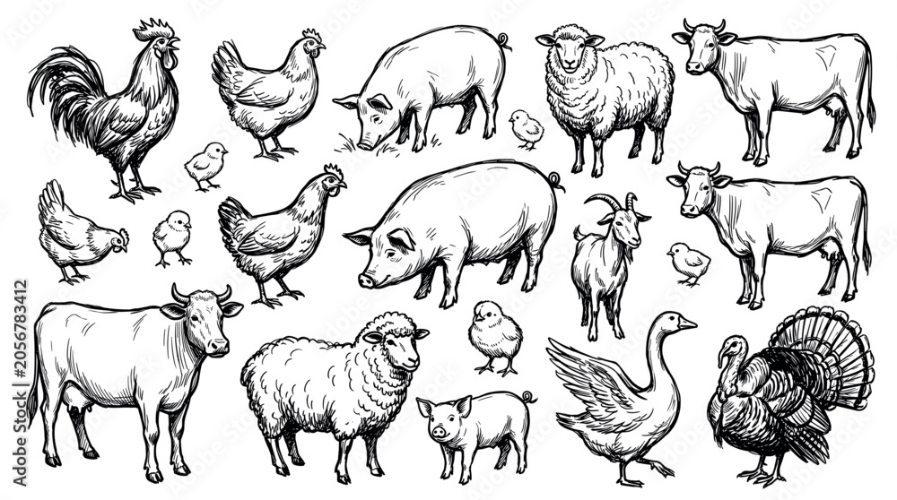 Obraz premium Various hand-drawn farm animals, including chickens, pigs, cows, sheep, and a turkey, depicted in a classic sketch style on a clean white background