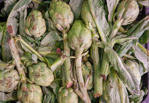 Fresh artichokes, Navarre, Spain