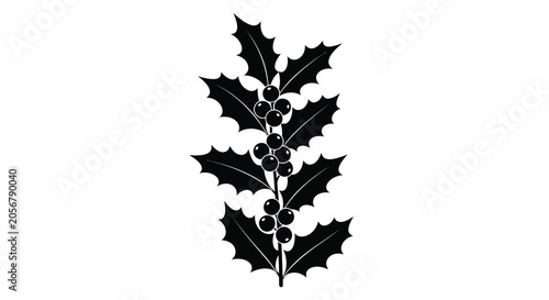 Photos Holly branch with berries black silhouette leaves
