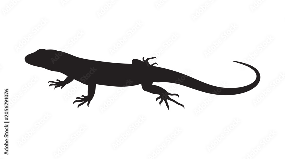 Fototapeta premium Lizard Silhouette On White Background A Minimalist Shape