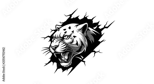 Roaring tiger head breaking through paper tear illustration.