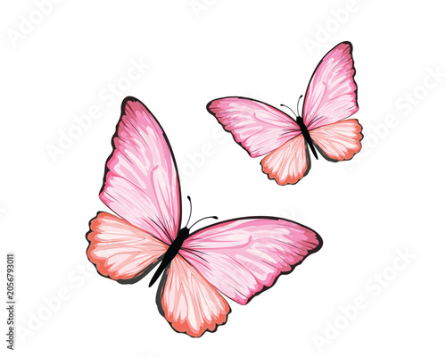 watercolor hand drawn design