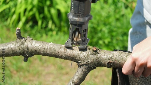 Cutting a branch with a jigsaw
