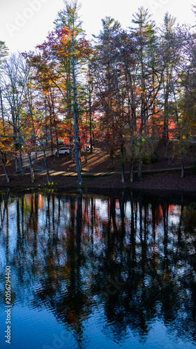 Reflections in the water of yellow trees in autumn on the shore of a reservoir in Cumberland Mountain State Park in Crossville, Tennessee, USA.