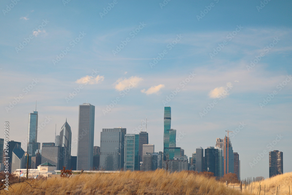 Fototapeta premium Chicago Skyline Behind Grassy Hill 2