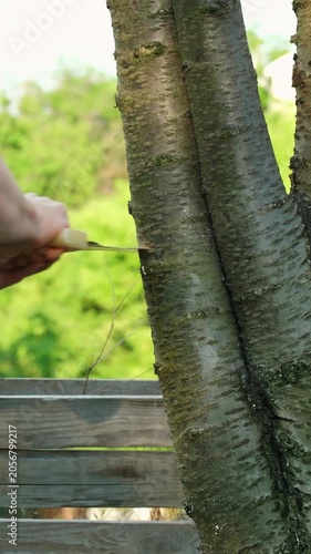 A man cutting a tree branch with a handsaw, close-up