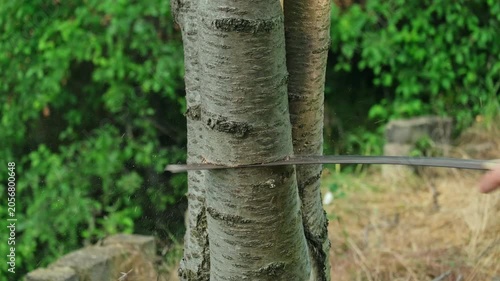 Close-up of a man cutting a tree branch with a handsaw