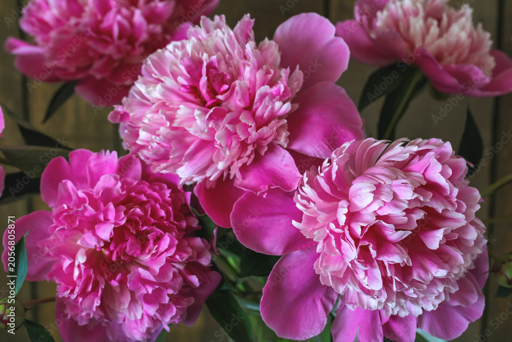 Fototapeta premium Close-up of pink peonies in bouquet against dark wooden background, floral beauty, romantic decor and summer cottage mood.