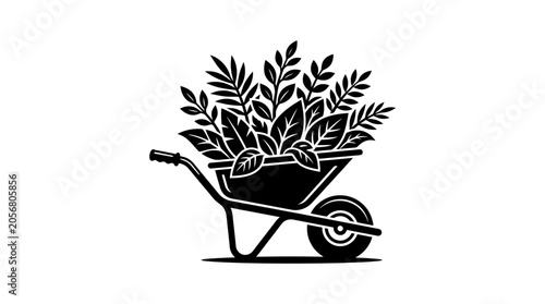 Black wheelbarrow with green plants inside.