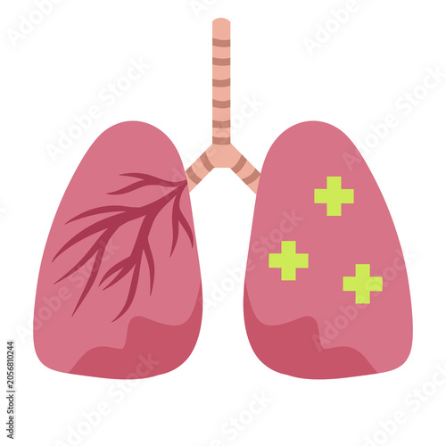 Healthy lungs illustration