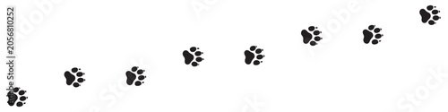 Bild auf Leinwand Curved trail made of animal paw prints isolated on a light background