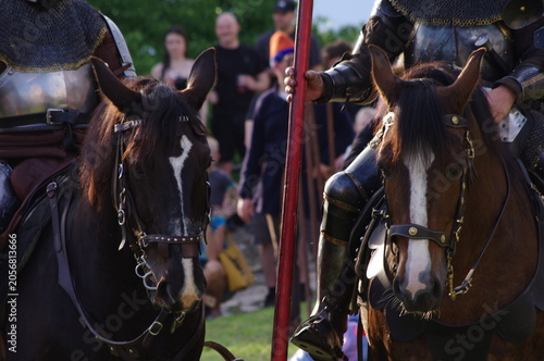Tableau sur toile Horses and Riders at a Medieval Reenactment Festival