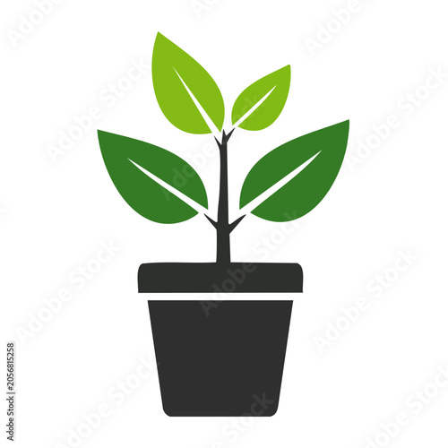 Flat design icon of a green plant growing in a dark pot