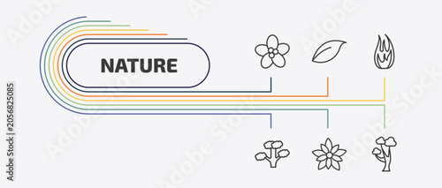 Картината върху платно nature outline icon set
