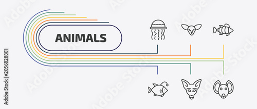 Cuadro en lienzo animals outline icon set