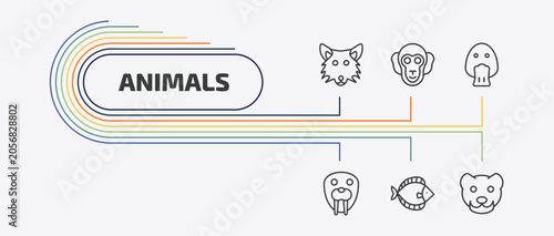Photography animals outline icon set
