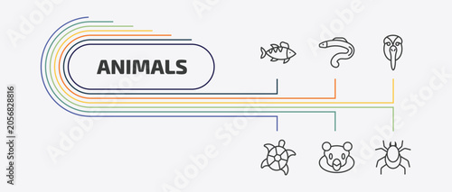 Photography animals outline icon set