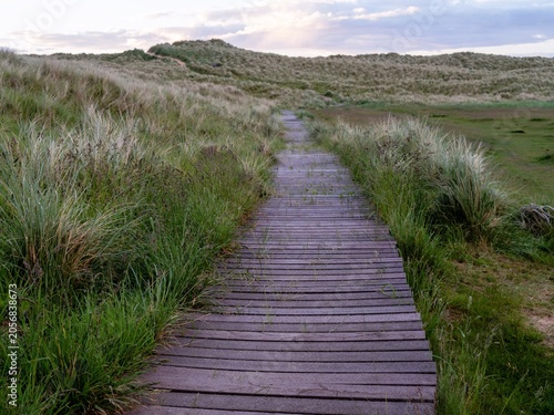 Boardwalk through grass on a sand dune habitat