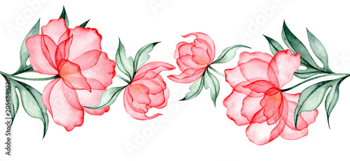 Watercolor illustration of a horizontal border of peonies. Pink transparent flower x-ray.
