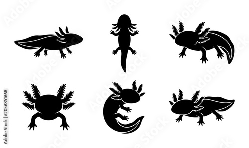 Fotografía Axolotl Silhouettes: Diverse Poses, Aquatic Animal Icons, Vector Set