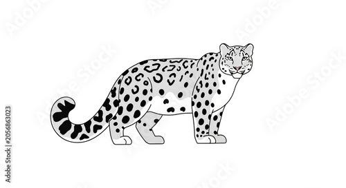 Illustration of a snow leopard standing.