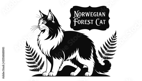 Fotografie Very beautiful black-and-white engraved vector illustration featuring a majestic NORWEGIAN FOREST CAT with thick fur and a decorative breed label reading NORWEGIAN FOREST CAT
