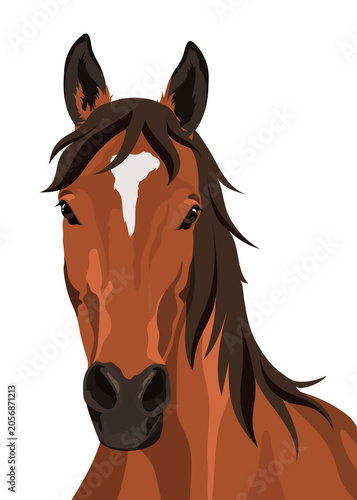 Obraz na płótnie PNG horse face sticker, animal illustration, transparent background