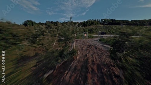 Dynamic flight between rows of verdant garden fruit trees. High quality 4k footage