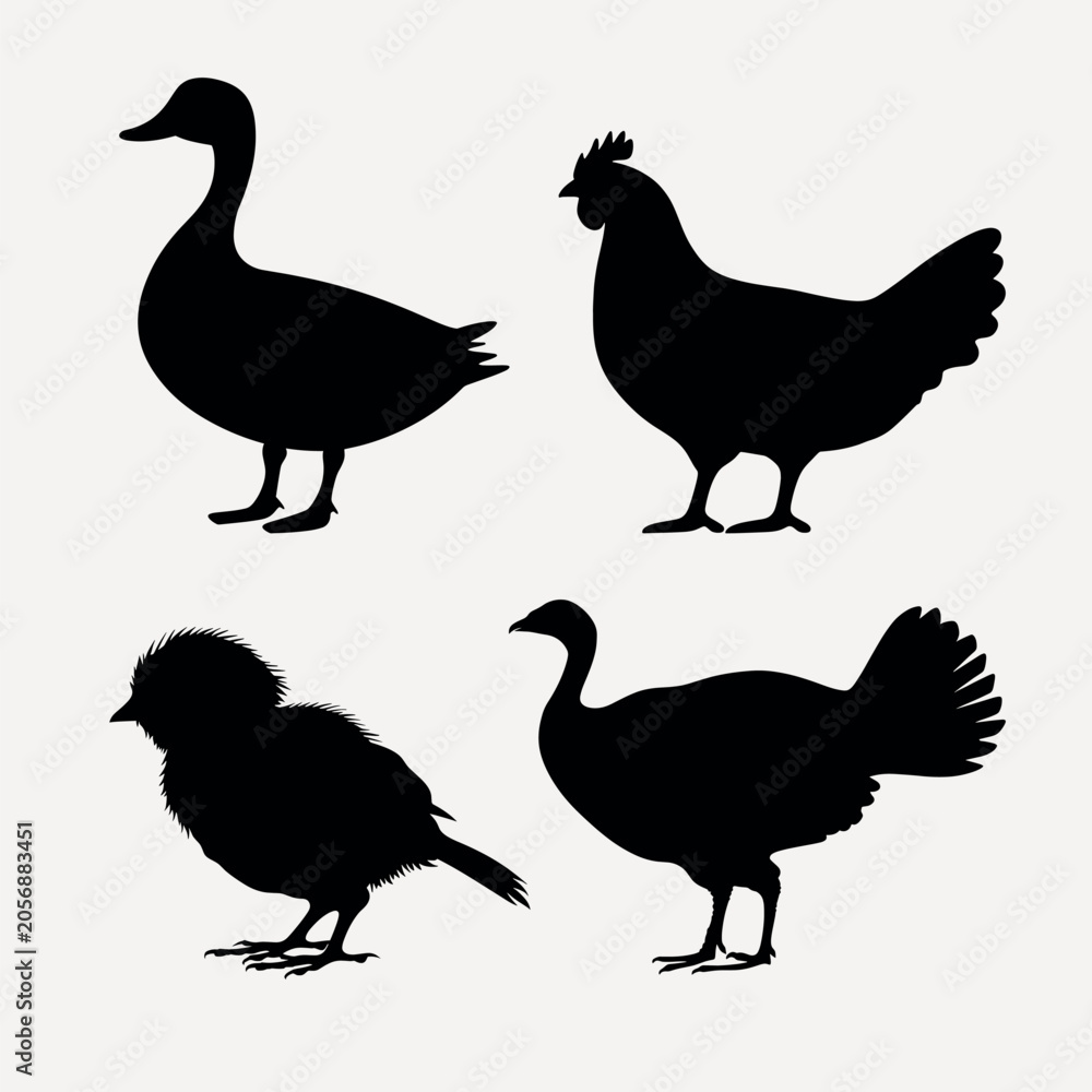Obraz premium Silhouettes of various birds vector set