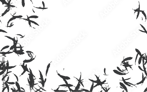 シンプルな鳥の羽のイラスト カラス 黒