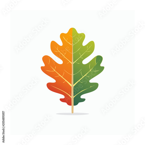 Money tree growth vector illustration